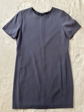 Aritzia Babaton Patricio dress
